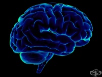 � ������� ������� �� ������ �� �������